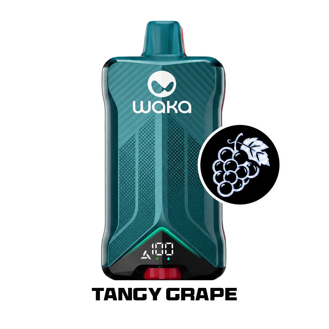 Waka VOJO 60,000 Puffs